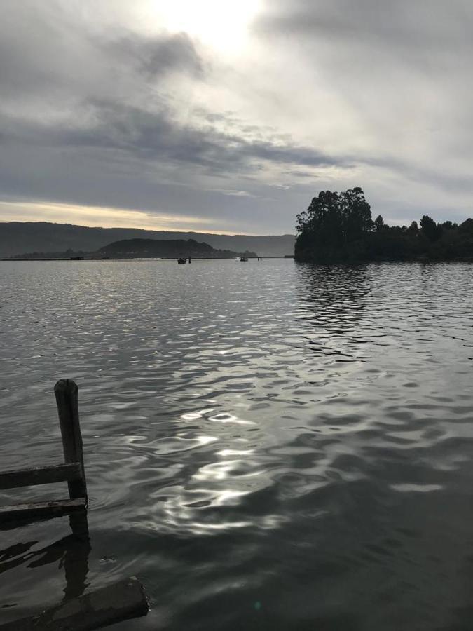 Hostel Isla Del Rey Valdivia Exteriör bild
