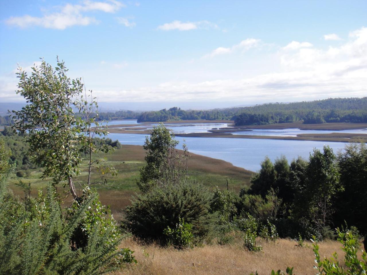 Hostel Isla Del Rey Valdivia Exteriör bild